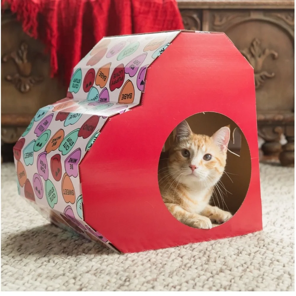 Bundle Cat Scratch Paper Heart House, 2 PalsToys, 3oz. Can food, 4.2oz solution